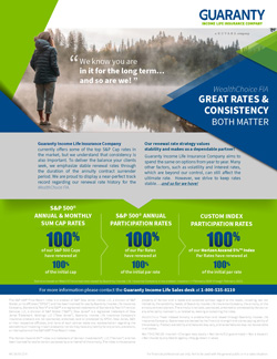 WealthChoice Renewal Rates Flyer